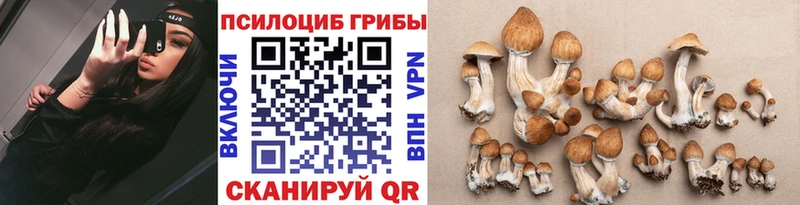 Галлюциногенные грибы MAGIC MUSHROOMS  ссылка на мегу   площадка формула  Саки 