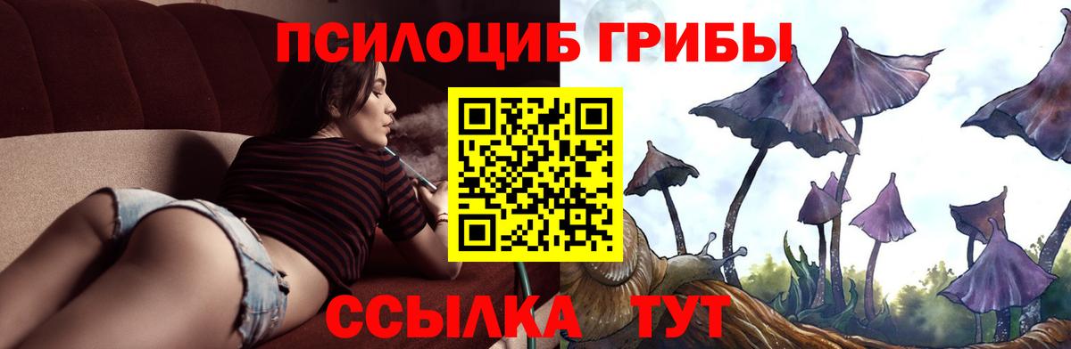 Галлюциногенные грибы MAGIC MUSHROOMS Саки